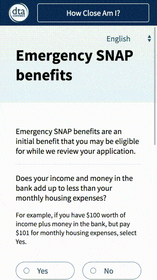 MA DTA SNAP application design