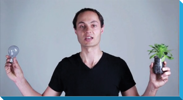 Section 5 the plant man